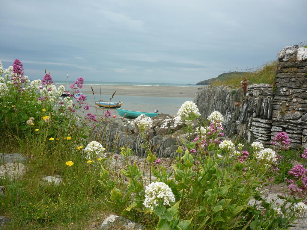 Tabor House B&B Fishguard Exterior foto
