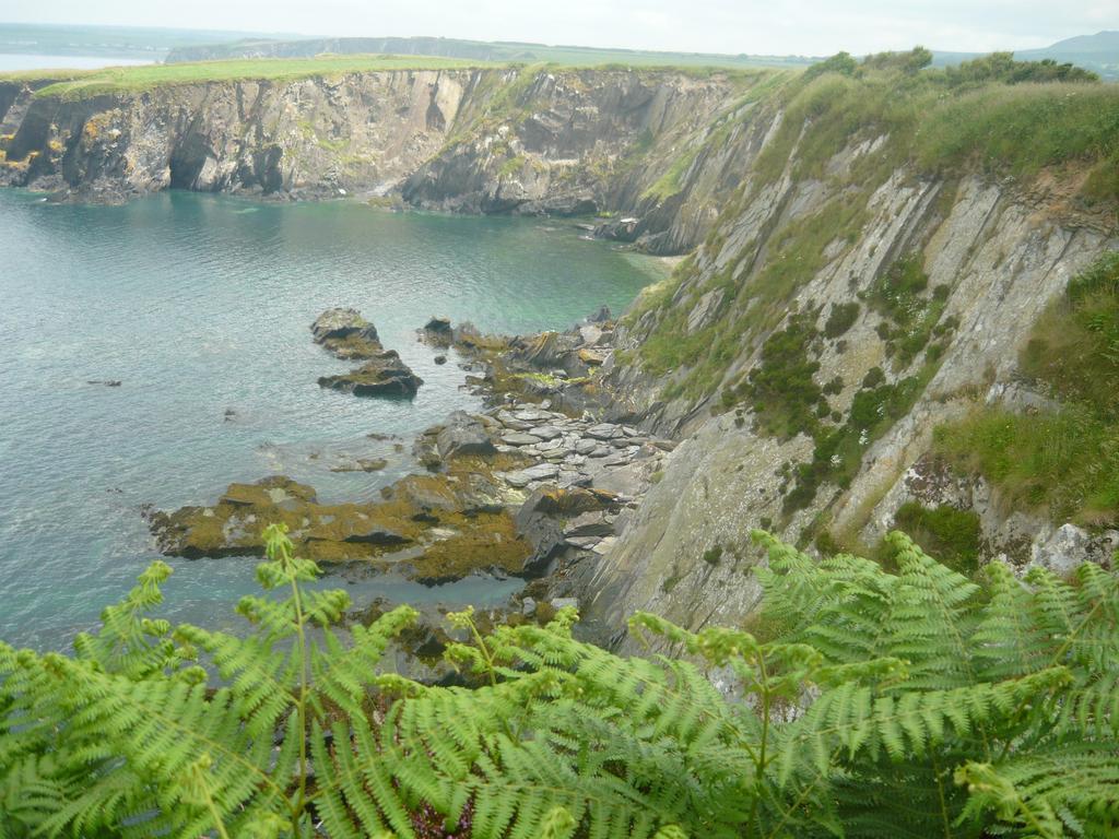 Tabor House B&B Fishguard Exterior foto
