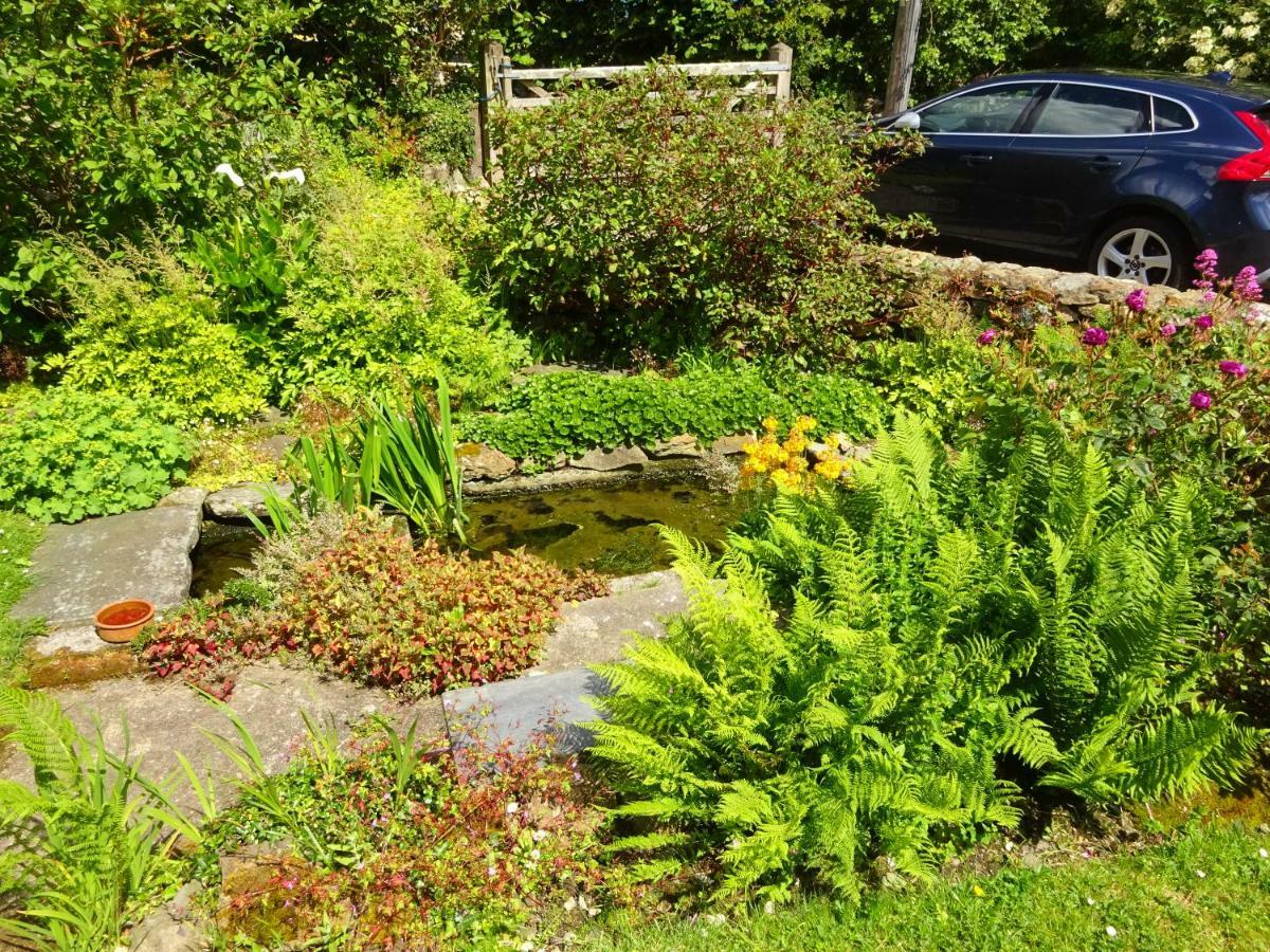Tabor House B&B Fishguard Exterior foto